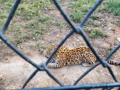 -大连森林动物园