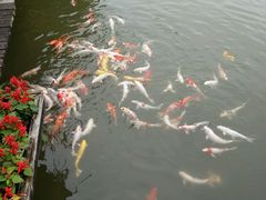 -东部华侨城