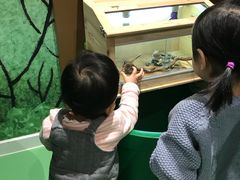 -中国宋庆龄青少年科技文化交流中心