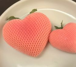 -星摇篮月子中心(市妇幼店)