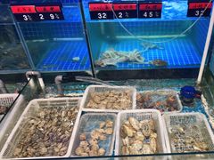 水产区-捞围鲜·港式打边炉(海阳路店)