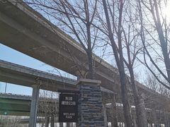 -东郊湿地公园