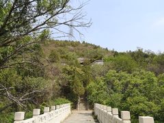 -白水寺森林公园
