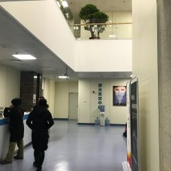 点击看大图 -八大处整形