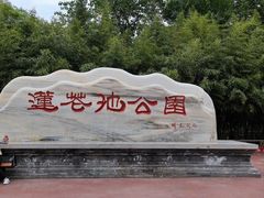 -莲花池公园