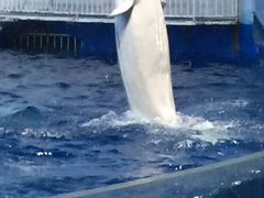 -福州罗源湾海洋世界旅游区