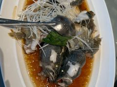 -一麦·龙岛(上海青浦店)