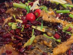 -老板恋上鱼(恒隆广场店)