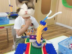 -雄孩子机器人少儿编程STEM教育(迪诺水镇校区)