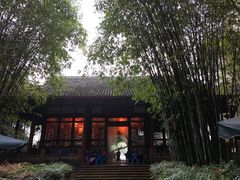 景点-望江楼公园