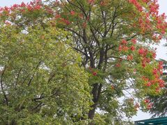 -白塘生态植物园