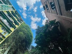 -黄桷坪涂鸦艺术街