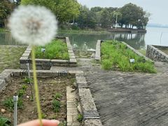-阳澄湖半岛旅游度假区