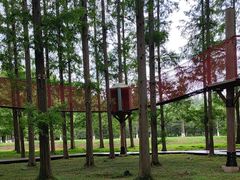 -黄海国家森林公园