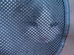 -艾贝尔宠物医院·宠保定点·超声绝育·免疫点(樱花路店)