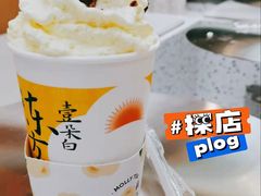 一朵茉莉花-茉莉奶白