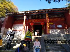 -少华山国家森林公园