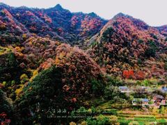 -秦岭风景区