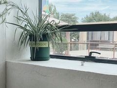 -古耳咖啡(北锣店)