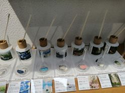 -香遇沙龙香水·调香·团建