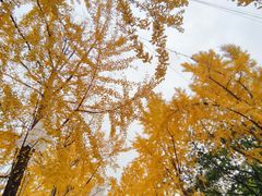 -沙河三洞古桥公园