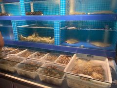 水产区-鲜小岛·铜锅涮肉