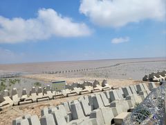 -南汇嘴观海公园