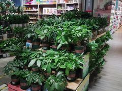 -大润发(番禺店)