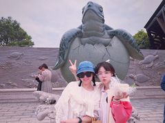 -广东惠东海龟国家级自然保护区