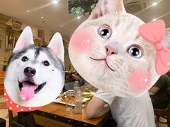 -巴依老爷新疆美食(常营店)