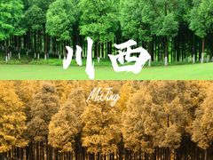 -重庆中央公园(渝北区)