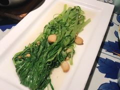 豆酱扒通菜-绿茶餐厅(布吉万象汇店)