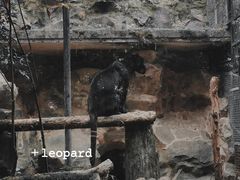 -杭州动物园