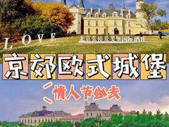 -北京张裕爱斐堡酒庄