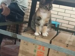 -老地方面馆(思南路店)