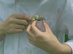 -白鹭湾湿地公园