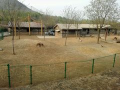 -石家庄市动物园