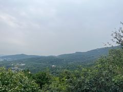 -北京西山国家森林公园