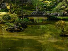 -西芳寺(苔寺)