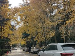 -陕西师范大学(雁塔校区)