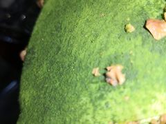 -無印抹茶·日式甜品·生日蛋糕(吉林财富购物广场店)
