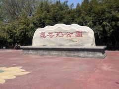 -莲花池公园