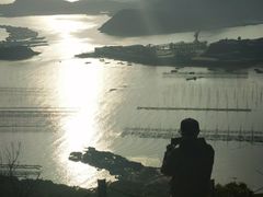 -花竹村