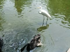 -海南热带野生动植物园