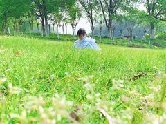 -瑶湖郊野森林公园