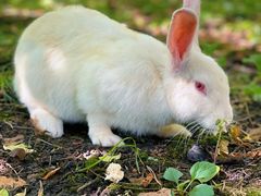 -哈尔滨北方森林动物园