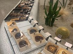 -OUR Bakery(SKP-S店)