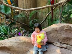 -杭州开元森泊度假乐园