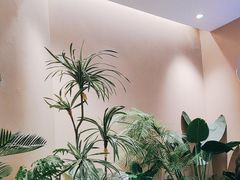-奈雪的茶(广州万菱汇PRO店)