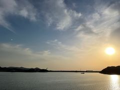 -望湖烤鱼